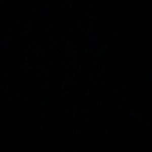 Meet your Posher, Johnnie